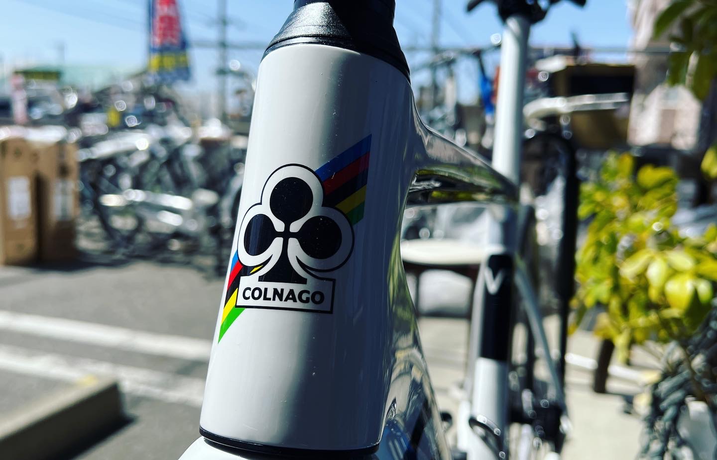 注目の福袋！ 専用】COLNAGO 【渡邉様 サイズ480S MONDO 自転車本体