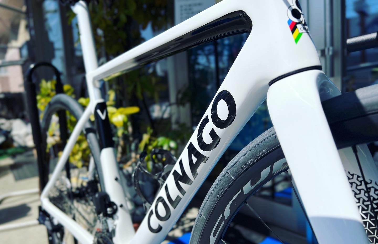 絶対一番安い 【渡邉様 専用】COLNAGO MONDO サイズ480S 自転車本体